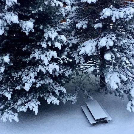 Sonnmatt Apartment Zermatt