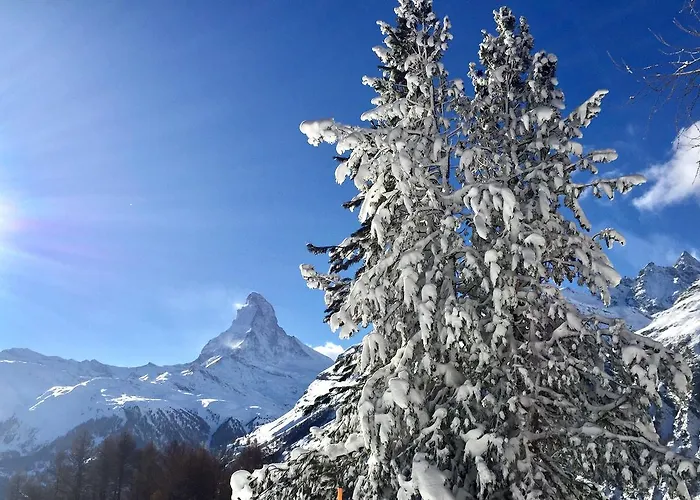 Lägenhet Sonnmatt Zermatt
